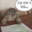 시워링