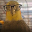 Flerbert