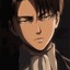 Levi-