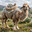 Ammenaris