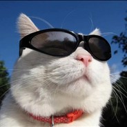 遗憾总是贯穿人生