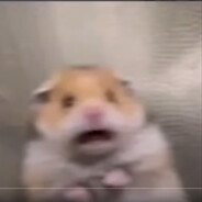 rehuinder