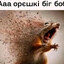 Трясо_Пуз