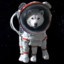 SpaceDog