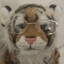 Babytiger