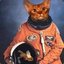 AstroCat