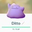 Ditto(Fiey)