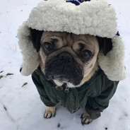 alpha_macho34 - steam id 76561199232524676