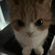 快点给我氧气罩