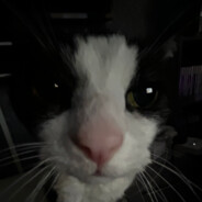 jack