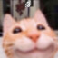 JK_BXNG