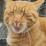 偷吃你嘴里的小零食