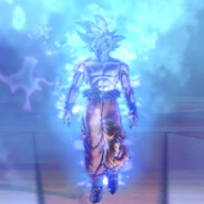 深圳市佳荣旺黄生