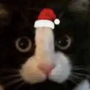 十万禁片总教头