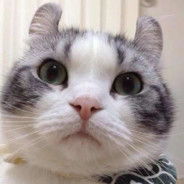 我玩这游戏真不叫