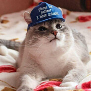 bitch don't kill my vibe