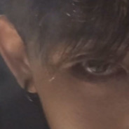 北极最后的深情