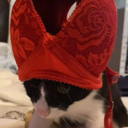 ♿мама смурф's avatar