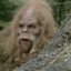 ConSquatch