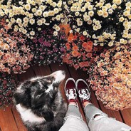 求求发牌员让我好看一点点