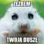 Venor
