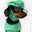 Dr. Daschshund☭