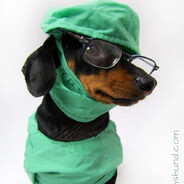 Dr. Daschshund☭