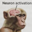 Neuron activation