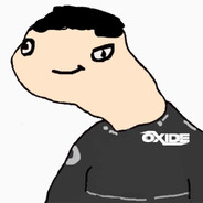 _W1ELKI_P0ST_ skins.army