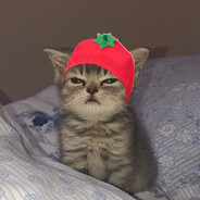 FranzG Steam avatar