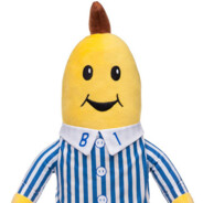 B1