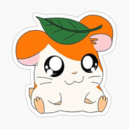 Hamtaro ♡