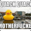 DuckyOnQuack