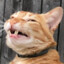 [redacted]