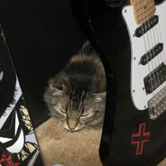 啊啊啊啊啊啊啊啊