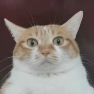 有本事你带飞我