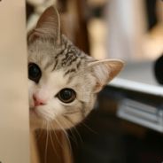 不忘初心，牢记使命