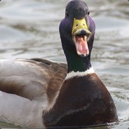 Качерыжка2004 - steam id 76561198191508689