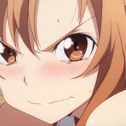 不准看Asuna的本子