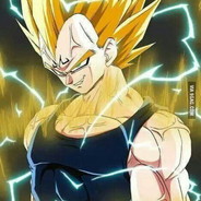VegetaS