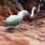 sperm