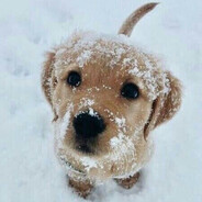 yooo - steam id 76561199074859469