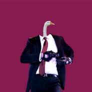 Goose 47