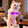 Strawberry Diaper Cat's Avatar
