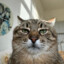insp1rati0n-