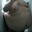 Mr.Tubs