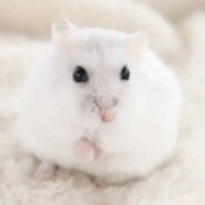 反覆清醒又反覆沉沦