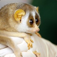 Adolf the leperchaun