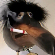 Pavel avatar