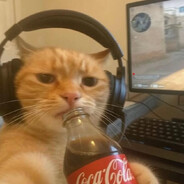 znocja - steam id 76561199400126017